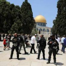 524 مستعمرا يقتحمون المسجد الأقصى
