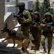 الاحتلال ينفذ حملة مداهمات ويفرض غرامات مالية باهظة على محال تجارية في سلوان