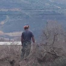 340 اعتداء نفذها الاحتلال و المستوطنون  ضد موسم الزيتون الحالي أكثرها في رام الله