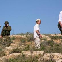 مستوطنون يعتدون على عمّال وقاطفي زيتون في بيت دقّو شمال غرب القدس