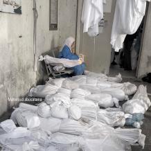 أكثر من 52 اتحادًا نقابيًا عالميًا يطالبون بوقف فوري للعدوان على غزة