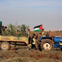 تهجير التراب الفلسطيني: جريمة صامتة تهدد الأراضي الخصبة وتخدم الاستيطان