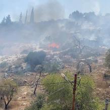 مستوطنون يحرقون منشآت زراعية شمال شرق القدس