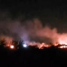 مستوطنون يحرقون أشجار زيتون في مجدل بني فاضل جنوب نابلس