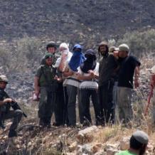 هيئة مقاومة الجدار: المستوطنون نفذوا 443 اعتداء خلال شهر