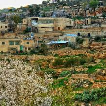 خاص | قرية عين يانون تحت الضغط واستيطان متصاعد يهدد بالتهجير