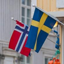 النرويج تنضم للسويد في رفض دعوة ترامب للانضمام إلى "مجلس السلام"