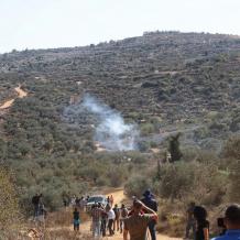 خاص | مزارعو المغير محرومون من 90% من أراضيهم