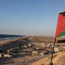 غزة - فلسطين.. البداية ولا نهاية من دونهما