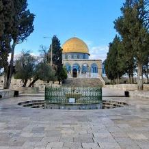 الاحتلال يواصل إغلاق المسجد الأقصى منذ 29 يوما