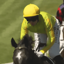 نتائج كأس دبي العالمي 2026: "أمبودسمان" يهدي جودلفين لقب "دبي تيرف" بـ 2.9 مليون دولار (بالفيديو)