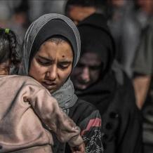 خاص| نساء غزة في قلب الكارثة: أرقام صادمة تكشف كلفة الحرب والتحول القسري إلى الإعالة