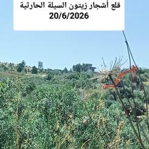 توثيق سجلات وزارة الزراعة لانتهاكات الاحتلال بحق القطاع الزراعي