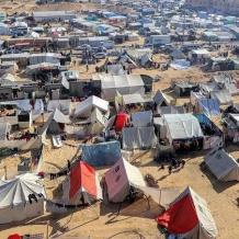 خاص | حرب القوارض والأوبئة تلاحق نازحي غزة وسط تفاقم الكارثة