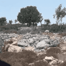 مستوطنون يشرعون بإقامة خيمة في منطقة الظهور شمال غرب سلفيت