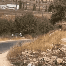 5 إصابات في هجوم للمستوطنين على مركبة بين المغير وأبو فلاح