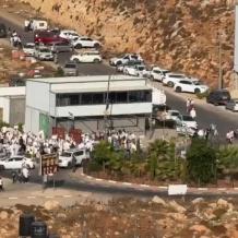 أعداد كبيرة من المستوطنين تقتحم بيتونيا وطريق جريوت غرب رام الله