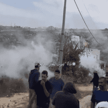 مستوطنون يستولون على مركبة ويسرقون زيتون ومعدات زراعية في عين يبرود