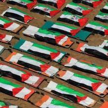 اليونيسف: الاحتلال قتل أكثر من 340 طفلا في غزة منذ بدء وقف إطلاق النار