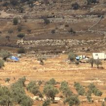 مستوطنون يقيمون بؤرة استيطانية غرب رام الله