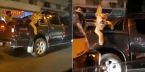 اعتقال باكستاني تجول على ظهر شاحنته 