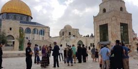 مئات المستوطنين يستبيحون الأقصى