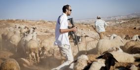 الاغوار: المستوطنون يمنعون الرعاة من الوصول الى مراعيهم 