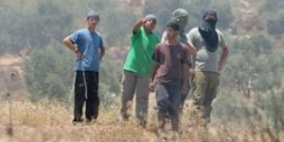 إصابة شاب إثر اعتداء مستوطنين على مزارعين في مخماس