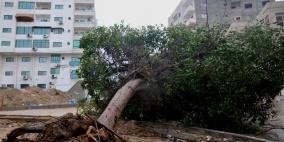 محدث: غرق 40 منزل واصابة 4 مواطنين برفح