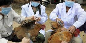 الصحة العالمية تثير تساؤلات حول انتقال "H7N9" بين البشر