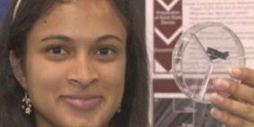 طالبة أميركية تبتكر جهازاً لشحن الهواتف في 30 ثانية