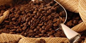 أرابيكا أفضل أنواع البن.. والروبوستا هو سر الكافيين