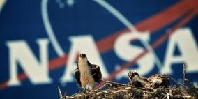 وكالة ناسا تدفع 18 ألف دولار لمن يتطوع بالرقود في سرير مختبري ل70 يوماً