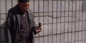 فيديو: عصفور ذكي يساعد صديقه المتشرد في التسوّل
