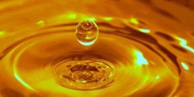 زيت الذرة أكثر خفضاً للكولسترول من زيت الزيتون