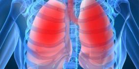 الولايات المتحدة...إنماء رئات بشرية في المختبر