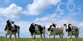 تغيير مركبات الأعلاف سيساعد في تقليص ظاهرة الاحتباس الحراري