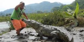 بالفيديو .. مغامر يتحدى تمساحا ويستفزه في مبارزة غريبة