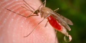 ارتفاع درجات الحرارة يؤدي الى تفشي الملاريا