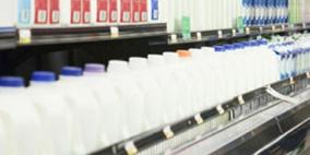 الحصول على الكالسيوم الذي تحتاجه العظام دون اللجوء إلى الألبان