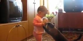 بالفيديو .. قطة تصارع طفلة على حق احتضان صغيرها