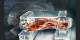 روبوتات جديدة تتحرك بخلايا العضلات