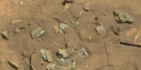 علماء يحللون صورة "عظمة فخذ" ظهرت على المريخ