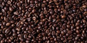 العلماء يفكون الشفرة الوراثية لشجرة البن