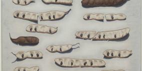 مقطوعة صوتية تفوز بجائزة للرسم في بريطانيا