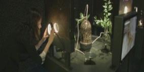 افتتاح أول معرض للميكروبات في العالم في هولندا