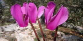 "التعليم البيئي": 22 أيار فرصة لإجراءات تحمي تنوعنا الحيوي