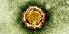 14 وفاة حصيلة فيروس كورونا في كوريا الجنوبية