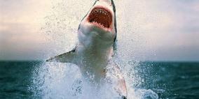 فتى أميركي: شاهدت سمكة القرش تلتهم ذراعي