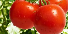 الطماطم تقي من آثار شيخوخة الجلد والتجاعيد
